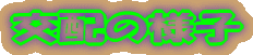 z̗lq
